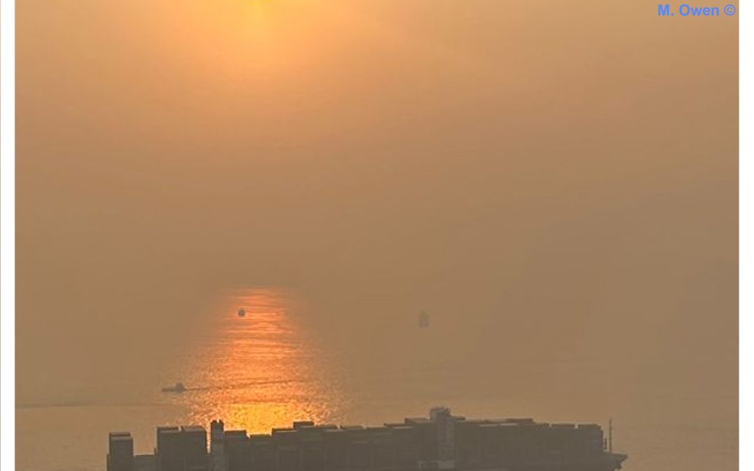 IFSMA February 2026 Newsletter Online